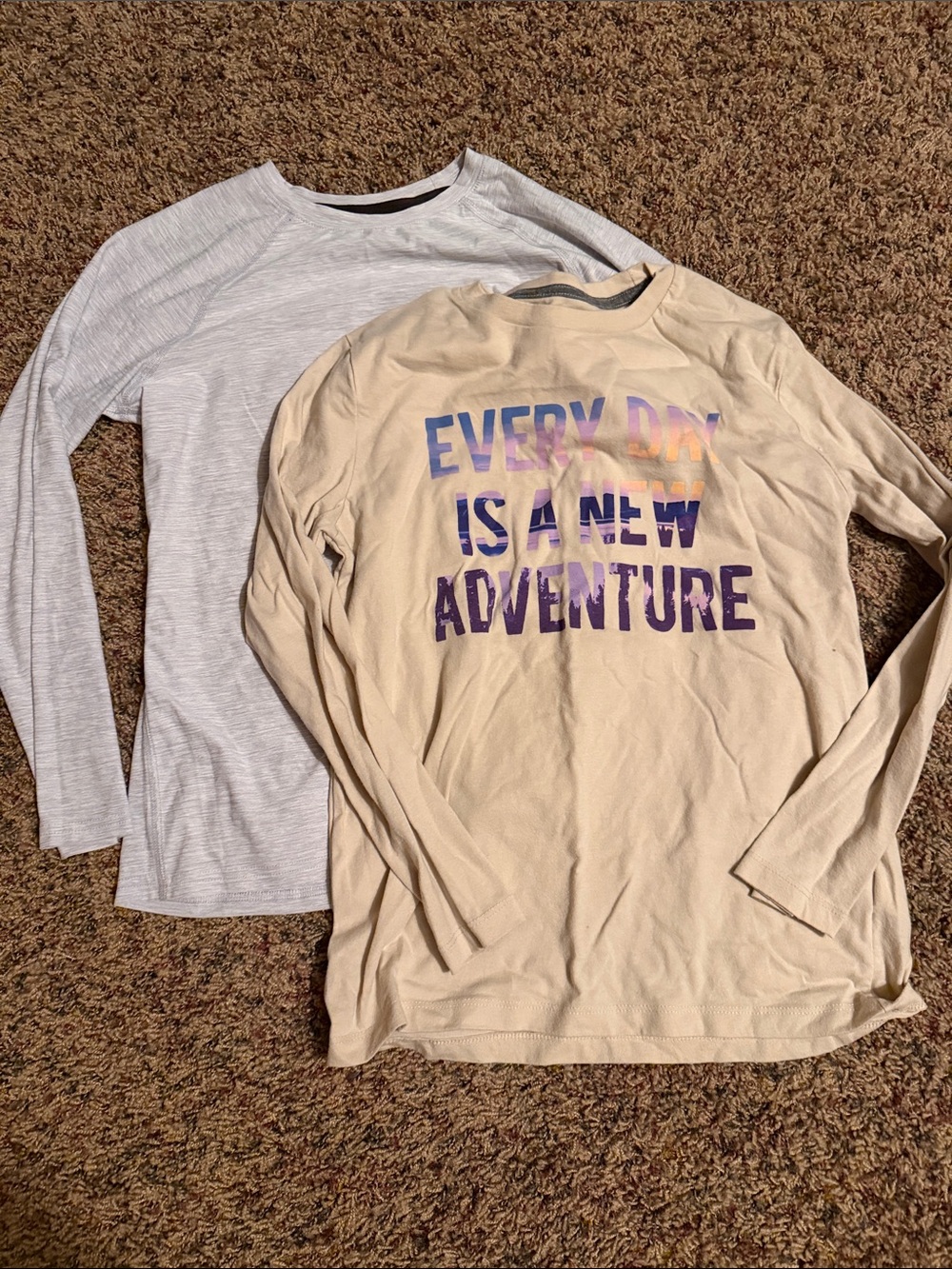 Old Navy Set of Long Sleeve Tees- grey and tan